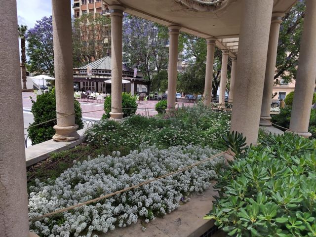 Plantas contra plagas para mantener ecosistemas urbanos de manera natural - 2, Foto 2