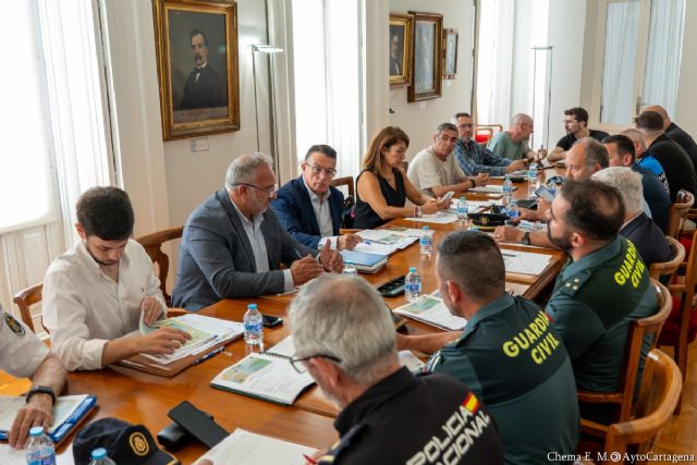 Un refuerzo de más de 650 efectivos garantizará la seguridad de los festivales Rock Imperium y Cartagena Suena - 1, Foto 1