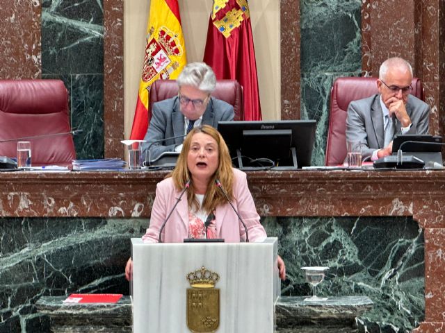 El PSOE saca adelante una iniciativa para que el Gobierno regional solvente la pésima situación del Hospital Virgen del Castillo de Yecla - 1, Foto 1
