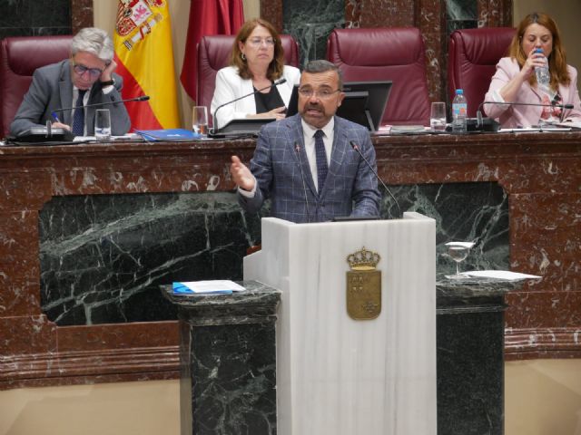 La Asamblea exige al Gobierno de España que entregue a los Ayuntamientos los fondos comprometidos para su financiación, con el único voto en contra del PSOE - 1, Foto 1