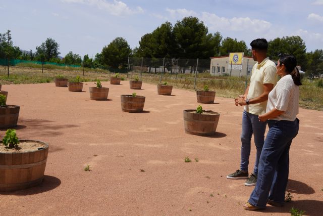 El Jardín Botánico de La Estacada reabre al público tras una importante obra de mejora y restauración paisajística - 4, Foto 4
