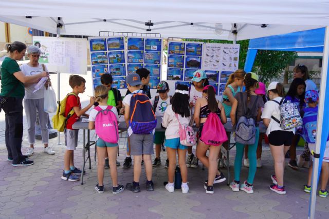 Jumilla celebra el Día Mundial del Medio Ambiente con actividades educativas y talleres para los centros educativos - 4, Foto 4