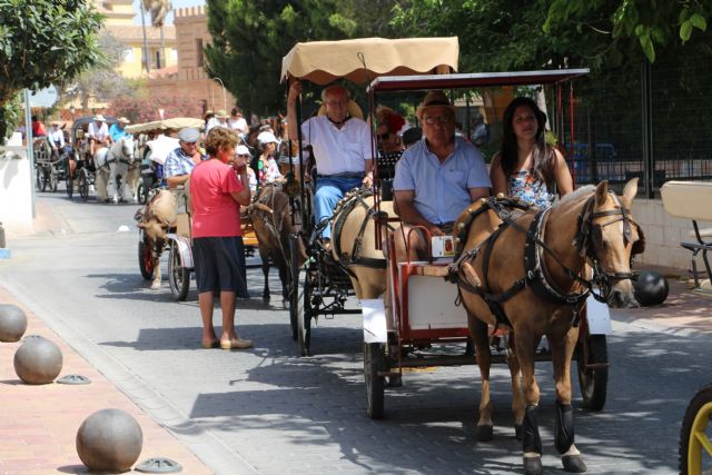 El XIII Encuentro de Carruajes Villa de San Pedro llena las calles de calesas - 2, Foto 2