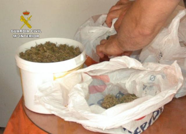 La Guardia Civil desmantela en Mula un invernadero de marihuana con más de medio millar de plantas y 200 esquejes - 1, Foto 1