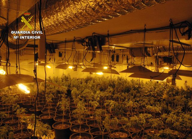 La Guardia Civil desmantela en Mula un invernadero de marihuana con más de medio millar de plantas y 200 esquejes - 2, Foto 2