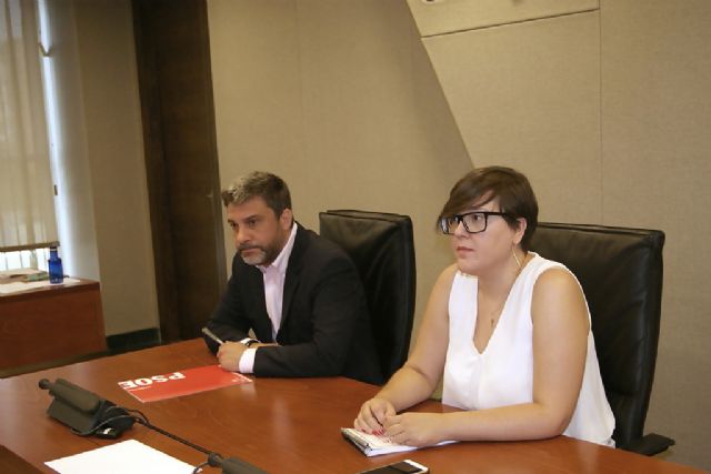 López Pagán: Sorprende la facilidad con la que el PP cambia de chaqueta sin pudor, después de tanta mentira y engaños sobre la llegada del AVE - 2, Foto 2