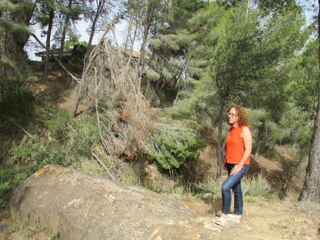 Ahora Murcia denuncia el estado de dejadez del Parque Regional de Carrascoy - 1, Foto 1