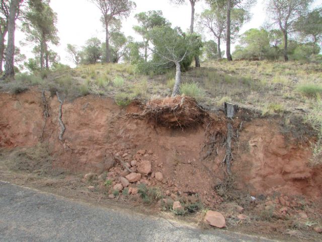 Ahora Murcia denuncia el estado de dejadez del Parque Regional de Carrascoy - 2, Foto 2