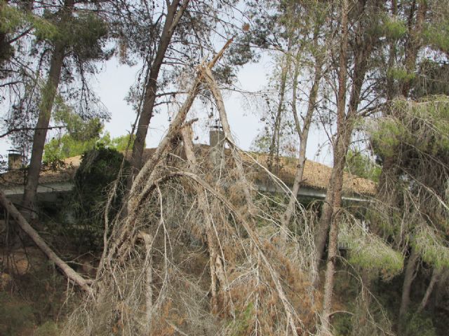 Ahora Murcia denuncia el estado de dejadez del Parque Regional de Carrascoy - 4, Foto 4