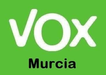 Entrevista a Pascual Salvador, Presidente de Vox Murcia - 2, Foto 2