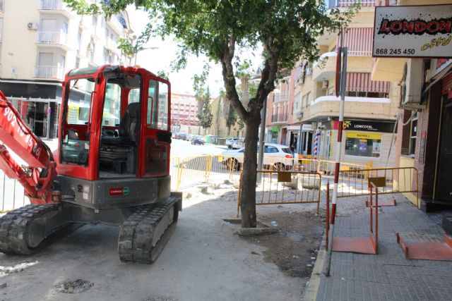 El arbolado de la acera sur de la avenida de Levante será sustituido por moreras - 1, Foto 1