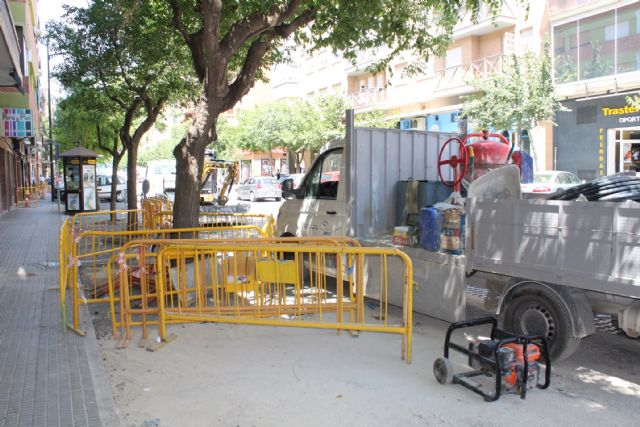 El arbolado de la acera sur de la avenida de Levante será sustituido por moreras - 2, Foto 2