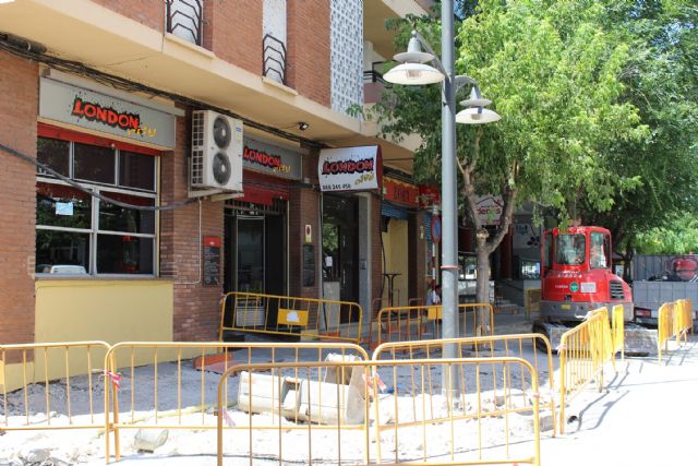 El arbolado de la acera sur de la avenida de Levante será sustituido por moreras - 3, Foto 3