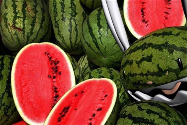 Gran calidad y óptima demanda para la sandía española - 1, Foto 1