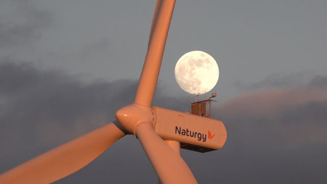 Naturgy, la única energética española finalista en los Premios de Medio Ambiente de la Comisión Europea - 1, Foto 1