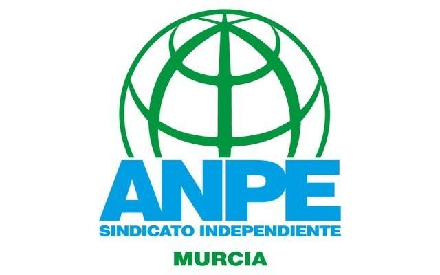 ANPE Murcia se reúne con la consejera de educación para tratar cómo volvemos al cole, Foto 4