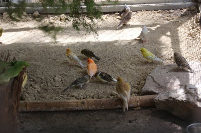 La Asociacin Cultural Ornitolgica Naturalista Alhameña dona medio centenar de ejemplares a la pajarera municipal, Foto 1