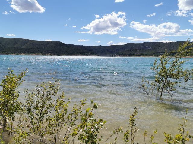 Pérez Torrecilla contesta a Jesús Cano: un responsable de Agua, Agricultura y Medio Ambiente de la Región de Murcia debería estar más pendiente de pedir perdón por el Mar Menor que de seguir robando el agua del Tajo - 1, Foto 1