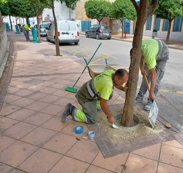 Murcia pone en marcha una campaña de renovación integral de los alcorques del municipio - 1, Foto 1