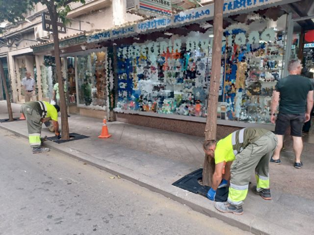 Murcia pone en marcha una campaña de renovación integral de los alcorques del municipio - 2, Foto 2
