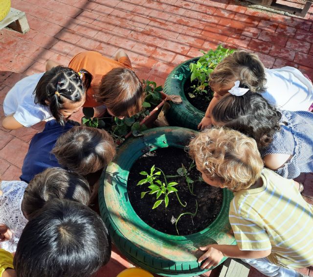 Las Escuelas Infantiles Municipales potencian el cuidado del medio ambiente y las actividades lúdicas aprovechando el inicio del verano - 2, Foto 2