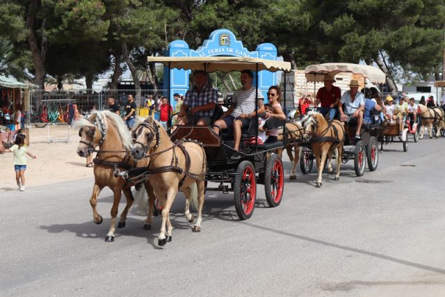 Carros, carruajes y jinetes recorrer las calles de San Pedro del Pinatar con motivo de las fiestas patronales - 1, Foto 1