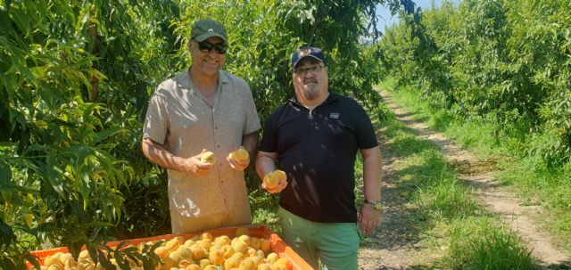 El equipo de Macarena Olona en Murcia se involucra en el sector de la fruta de hueso - 2, Foto 2