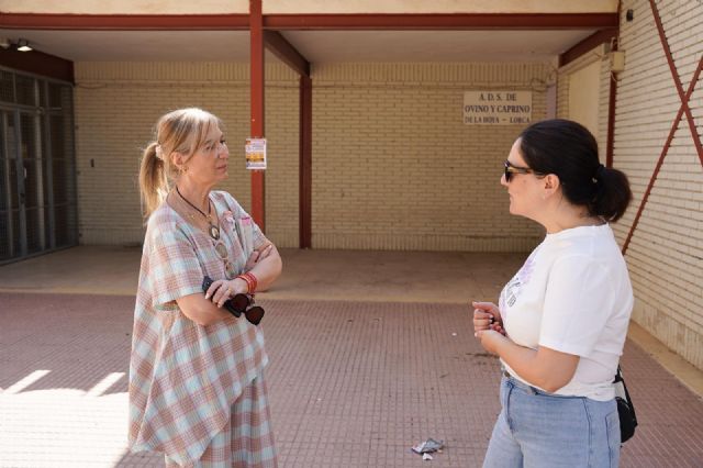 La Concejalía de Vertebración del Territorio y Lucha contra la Despoblación adjudica las obras de rehabilitación del antiguo colegio de La Hoya por más de 71.000 euros - 4, Foto 4