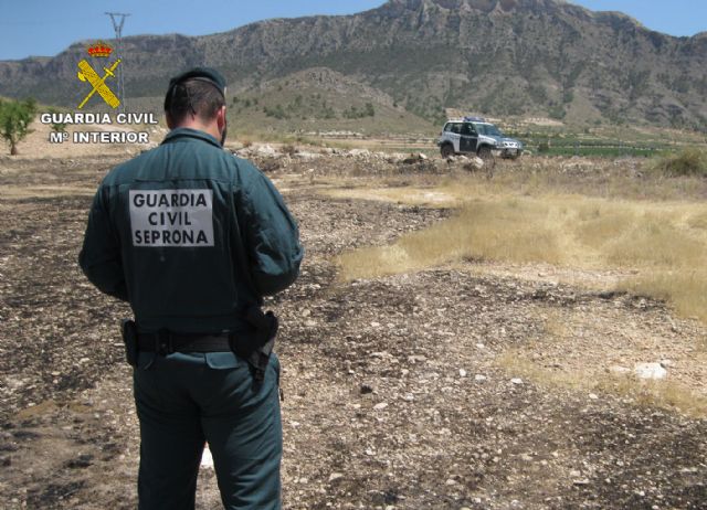 La Guardia Civil investiga a dos jóvenes por un incendio forestal - 1, Foto 1