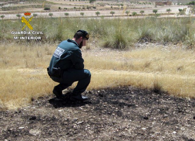 La Guardia Civil investiga a dos jóvenes por un incendio forestal - 2, Foto 2