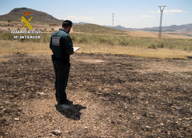 La Guardia Civil investiga a dos jóvenes por un incendio forestal - 3, Foto 3