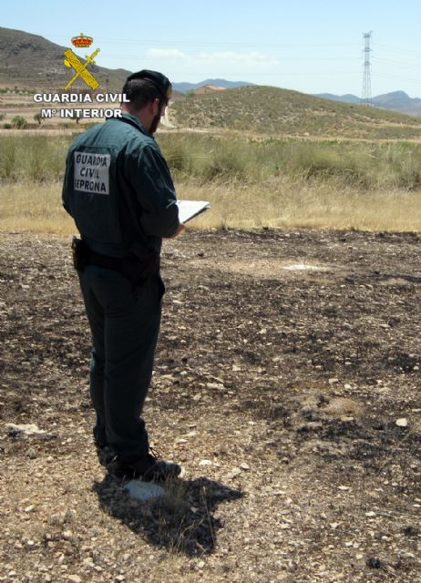 La Guardia Civil investiga a dos jóvenes por un incendio forestal - 4, Foto 4