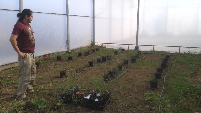 Utilizan biocarbón de residuos agroganaderos y plantas de mijo para rehabilitar depósitos mineros - 1, Foto 1