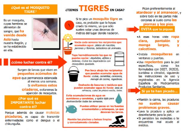 Consejos para evitar la proliferación de mosquito tigre en la Región - 1, Foto 1
