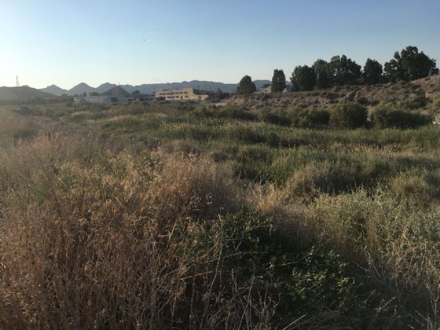 Diego José Mateos exige al Ayuntamiento de Lorca y CHS la limpieza de cauces y ramblas para evitar riadas con la gota fría - 2, Foto 2