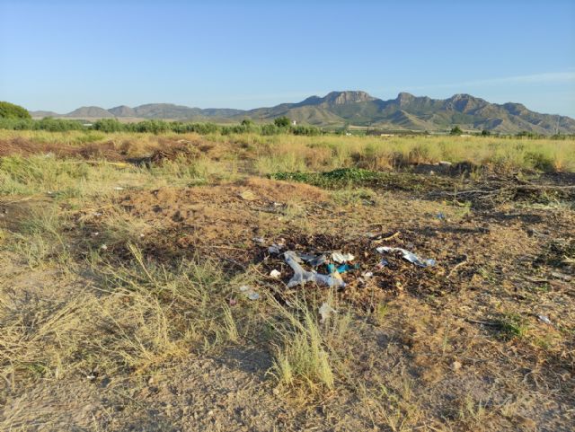 IU VERDES pide explicaciones al concejal de Jardines por la gestión del contrato de limpieza y mantenimiento de jardines - 1, Foto 1