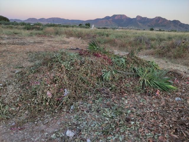 IU VERDES pide explicaciones al concejal de Jardines por la gestión del contrato de limpieza y mantenimiento de jardines - 2, Foto 2