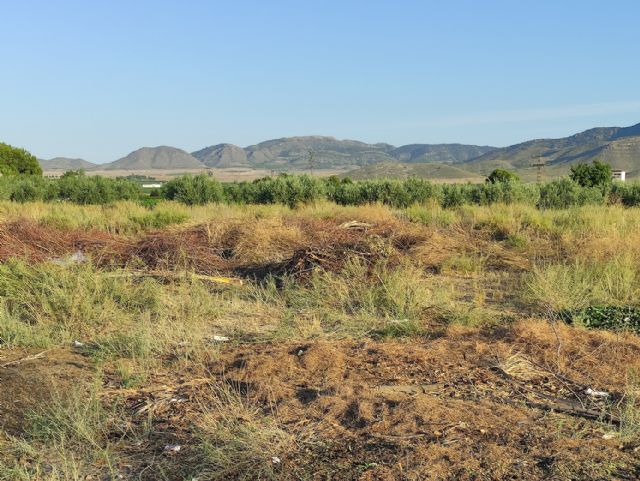 IU VERDES pide explicaciones al concejal de Jardines por la gestión del contrato de limpieza y mantenimiento de jardines - 3, Foto 3