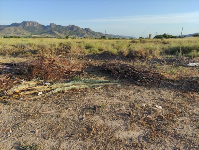 IU VERDES pide explicaciones al concejal de Jardines por la gestión del contrato de limpieza y mantenimiento de jardines - 4, Foto 4