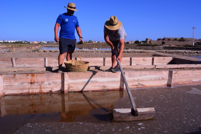 El proyecto RESALAR para la recuperación de salinas en Mar Menor da sus primeros frutos - 2, Foto 2