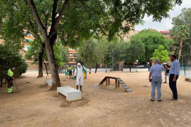 Pipicanes 4.0: Murcia digitaliza el mapa del bienestar animal - 1, Foto 1