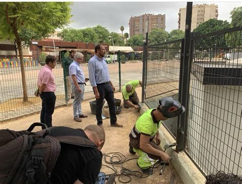 Pipicanes 4.0: Murcia digitaliza el mapa del bienestar animal - 4, Foto 4