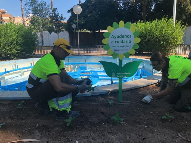 Pipicanes 4.0: Murcia digitaliza el mapa del bienestar animal - 5, Foto 5