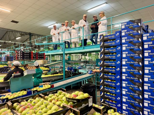 La Cooperativa Campos de Jumilla realiza nuevas inversiones para reforzar la competitividad del sector hortofrutícola - 2, Foto 2
