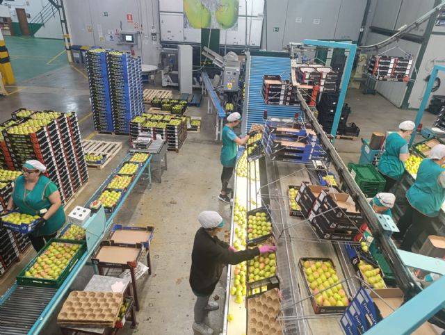 La Cooperativa Campos de Jumilla realiza nuevas inversiones para reforzar la competitividad del sector hortofrutícola - 3, Foto 3