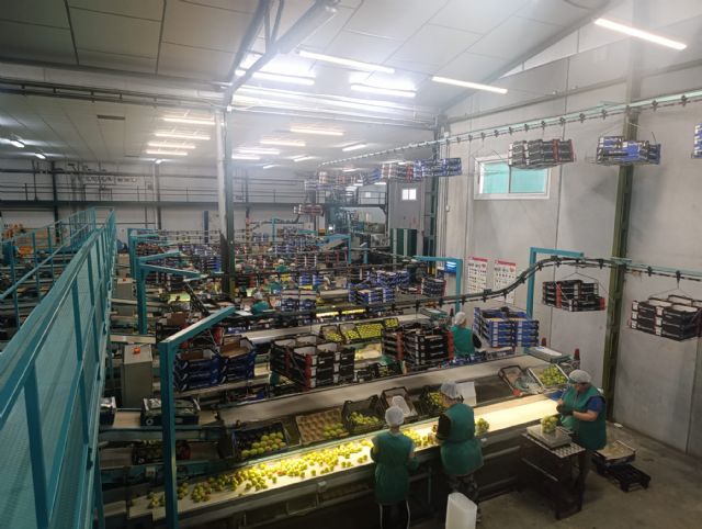 La Cooperativa Campos de Jumilla realiza nuevas inversiones para reforzar la competitividad del sector hortofrutícola - 4, Foto 4