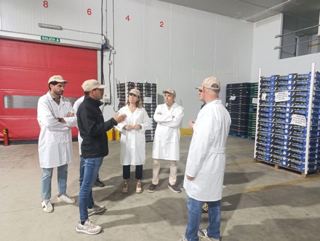 La Cooperativa Campos de Jumilla realiza nuevas inversiones para reforzar la competitividad del sector hortofrutícola - 5, Foto 5