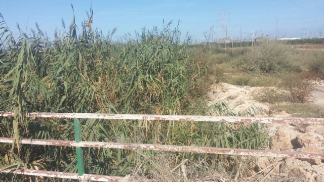 Ciudadanos pide explicaciones a la Confederación Hidrográfica del Segura por la falta de limpieza de las ramblas costeras ante el riesgo de una gota fría - 3, Foto 3
