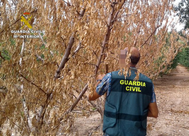 La Guardia Civil detiene al presunto autor de siete incendios - 2, Foto 2