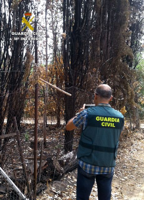 La Guardia Civil detiene al presunto autor de siete incendios - 4, Foto 4